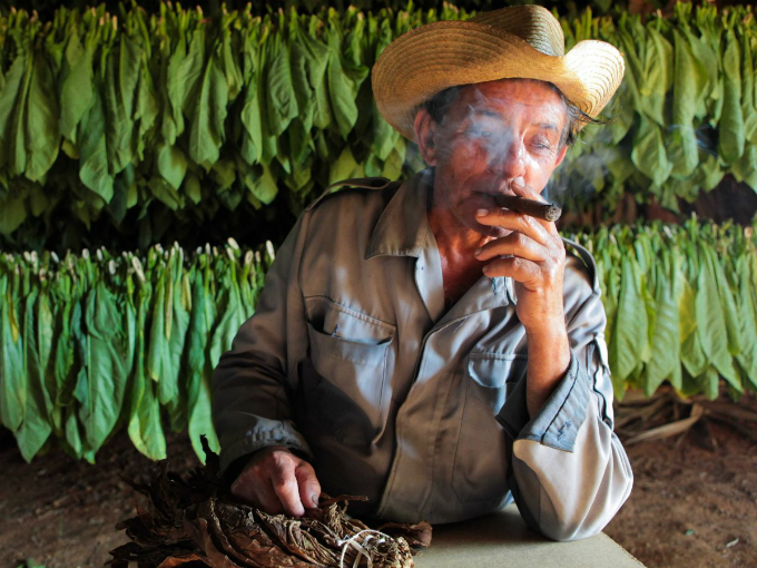 viales is full of tobacco farms this is the place where are all those great cigars originate Put oko sveta: 10 fotografija zbog kojih ćete poželeti da posetite Kubu