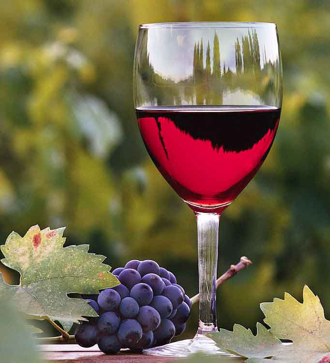 red wine glass Poreklo i kultura konzumacije vina