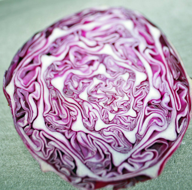 red cabbage half Hrana koja usporava starenje