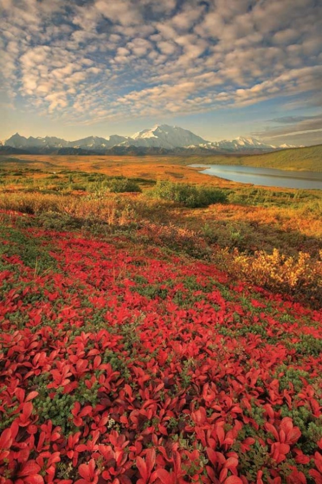 kao sa razglednice nestvarna aljaska raznolikost Kao sa razglednice: Nestvarna Aljaska 