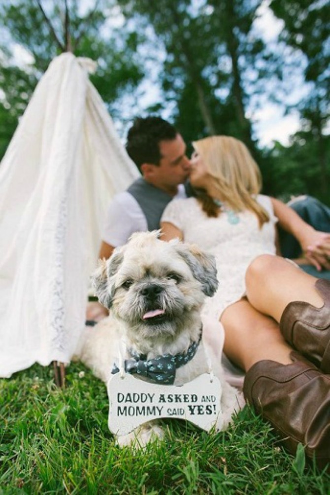 pas i verenici Objavite da ste vereni na simpatičan način