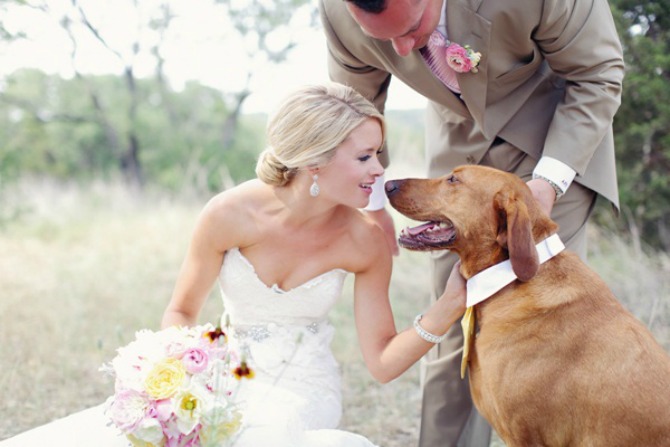 pas na venčanju Stara srpska verovanja kazuju nam koji su najbolji meseci za svadbu 