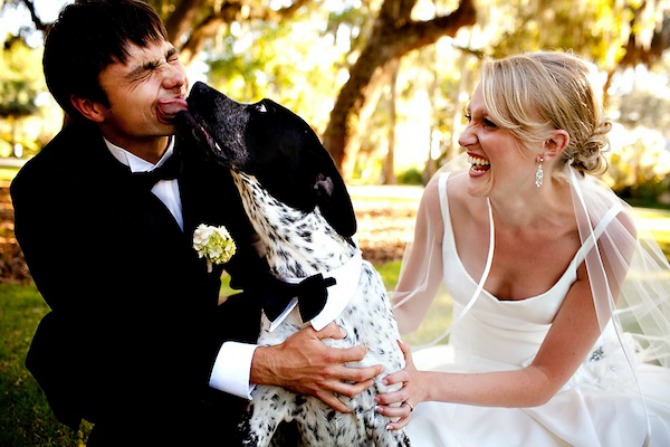 pas na venčanju3 Pas na venčanju   savršen ukras ili dodatna obaveza?