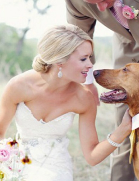 Pas na venčanju – savršen ukras ili dodatna obaveza?