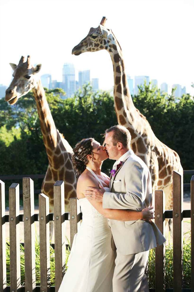 mladenci u zoo vrtu Ideje za netradicionalno venčanje