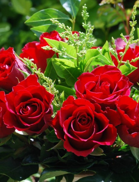 Crvene ruže kao glavna dekoracija na venčanju