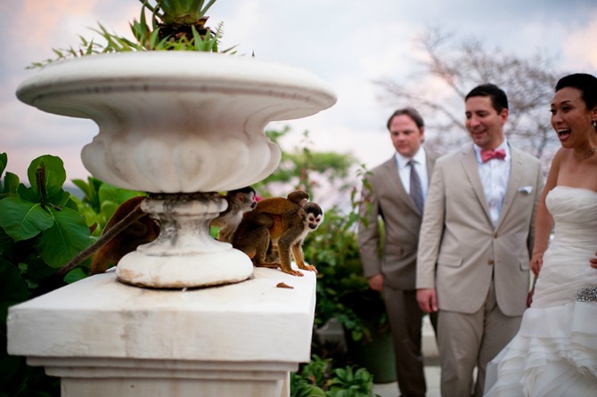 divlje životinje na svadbenim fotografijama1 Divlje životinje kao neočekivani gosti na venčanju