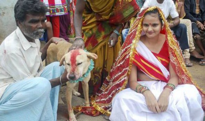 indijku udali za psa12 I ovo je deo tradicije    Indijku udali za psa!
