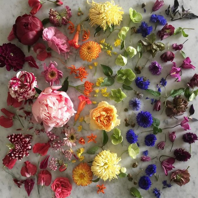 cvetne dekoracije 5 Instagram inspiracija za savršene cvetne dekoracije na venčanju