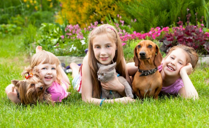 deca i zivotinje Pas ili mačka – ko je bolji LJUBIMAC za dete   