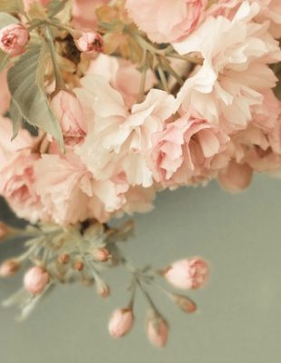 Trešnjin cvet, idealna dekoracija za prolećno venčanje