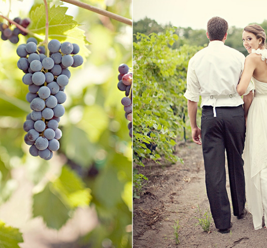 Vinograd kao savršena lokacija za venčanje